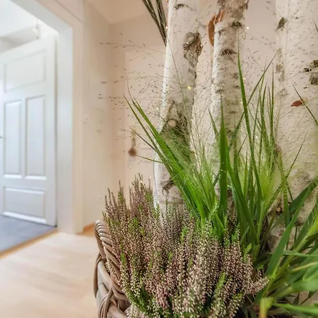 Appartement Mittendrin